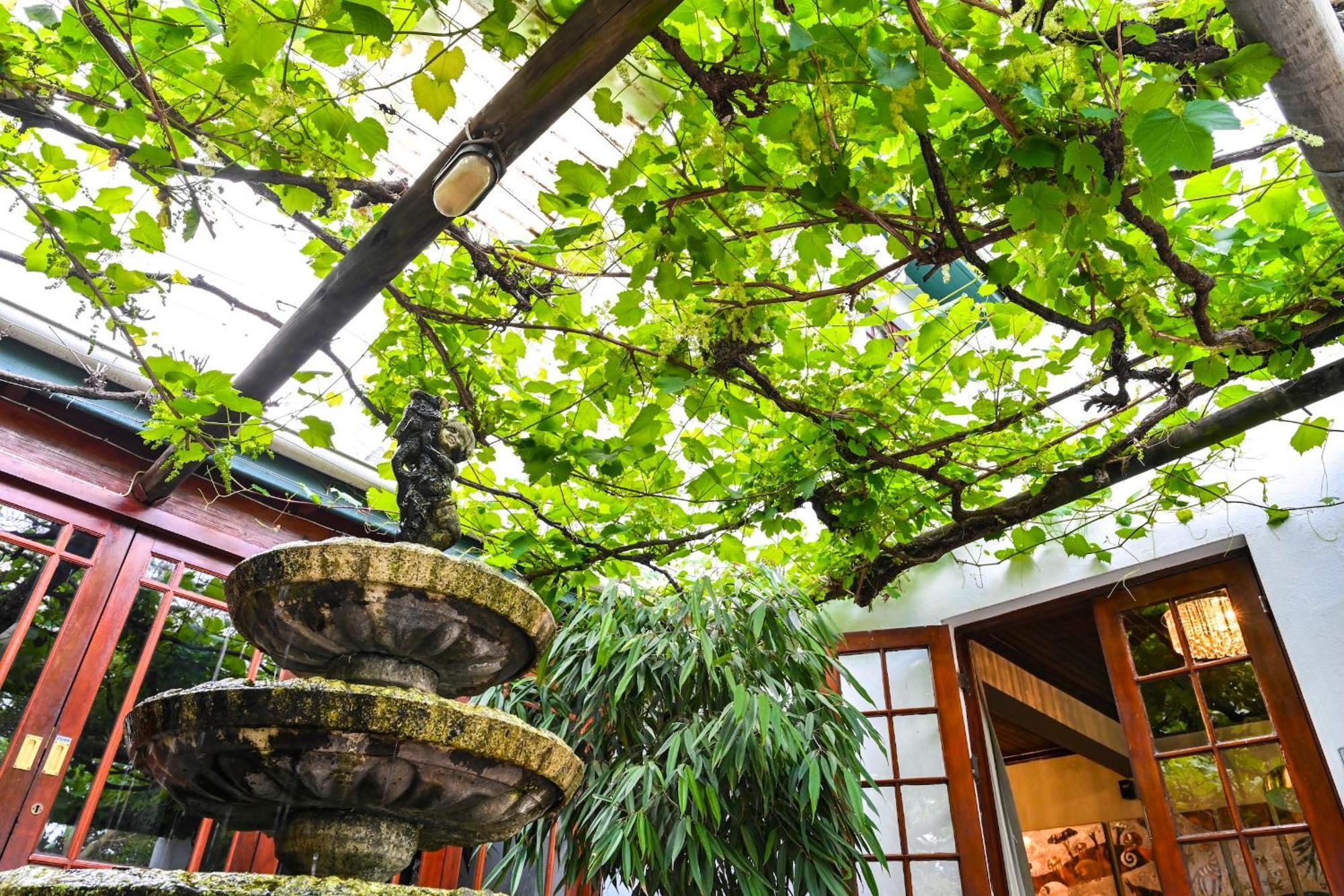 Woodall Country House And Spa Addo Kültér fotó