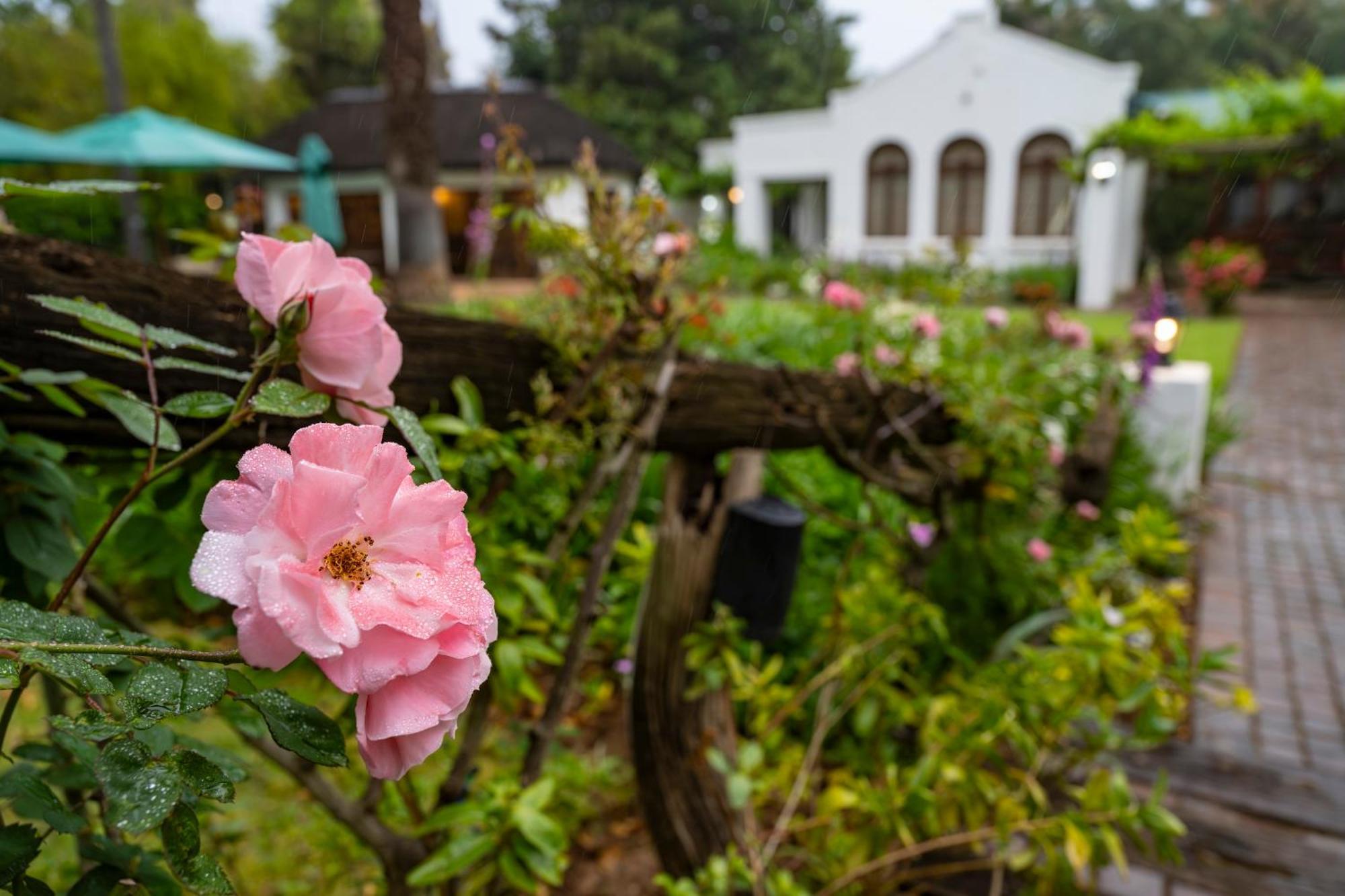 Woodall Country House And Spa Addo Kültér fotó