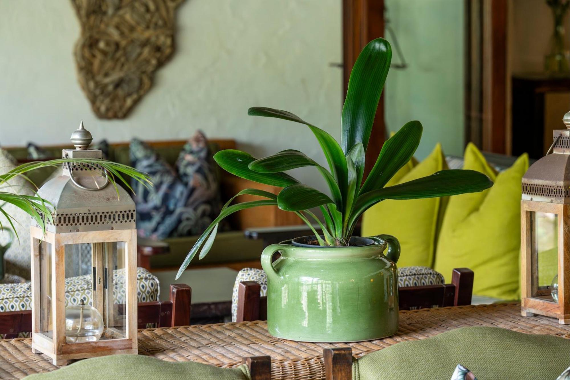 Woodall Country House And Spa Addo Kültér fotó