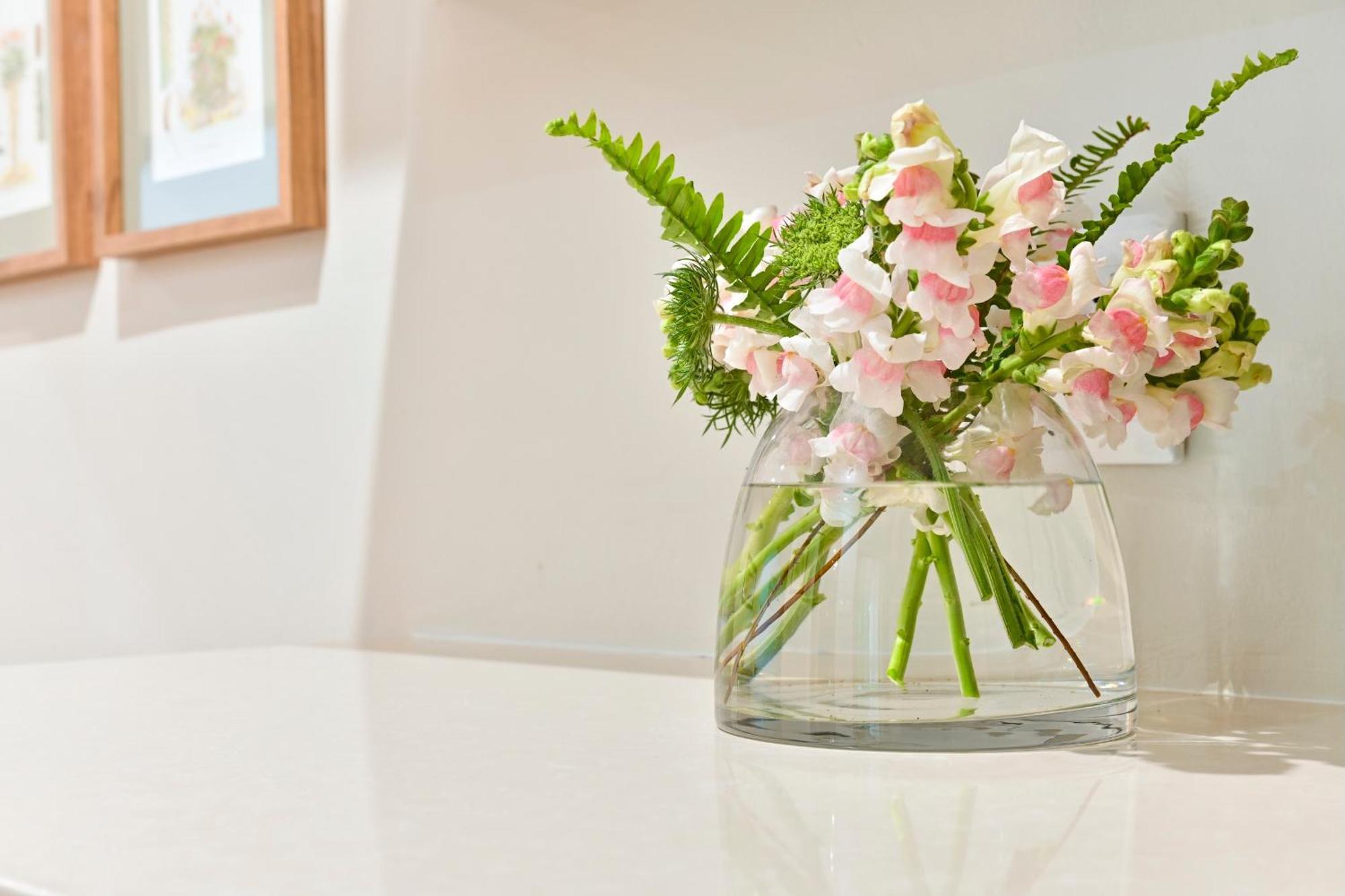 Woodall Country House And Spa Addo Kültér fotó